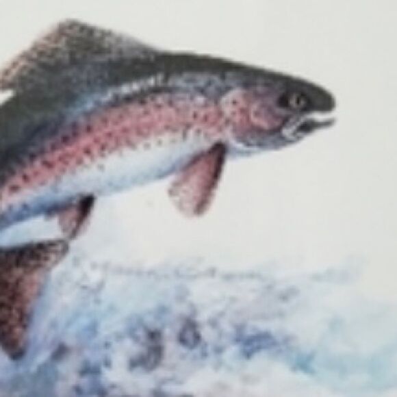 Royann Baum's Signed & Framed Fish Art - Picture 5 of 9